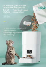6L Automatic Pet Feeder ensures your cat is well-fed effortlessly, perfect for busy pet owners looking for convenience.