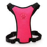 Dog Safety Harness
