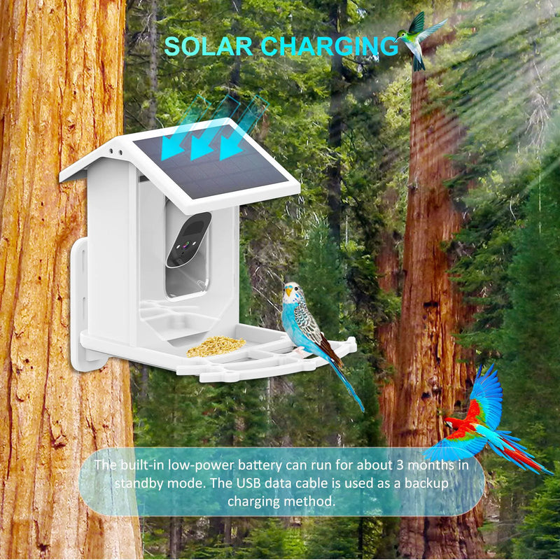 Solar Feeder Camera