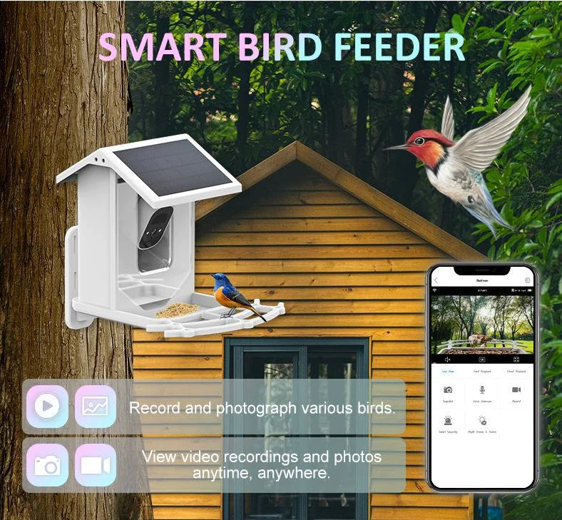 Solar Feeder Camera