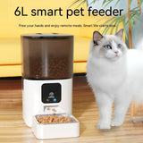 6L Automatic Pet Feeder provides convenient feeding for your cat, ensuring they're well-fed even when you're away.