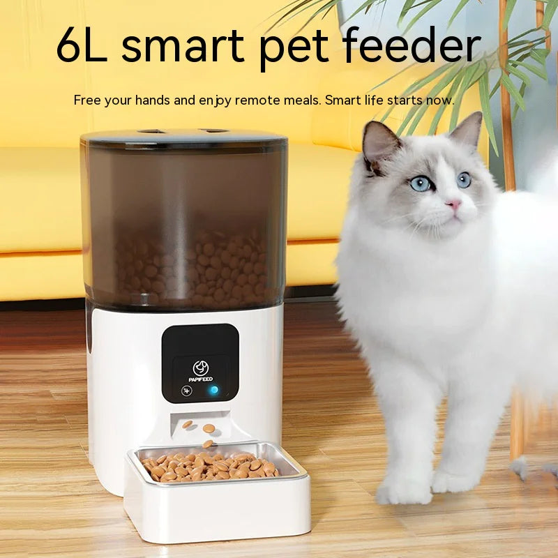 6L Automatic Pet Feeder provides convenient feeding for your cat, ensuring they're well-fed even when you're away.