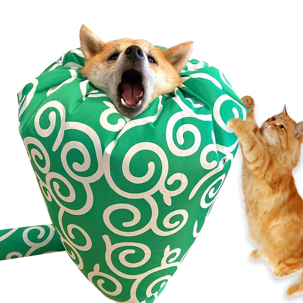 Suweisua Pet Drying Box for Cat/Dogs - (Small)