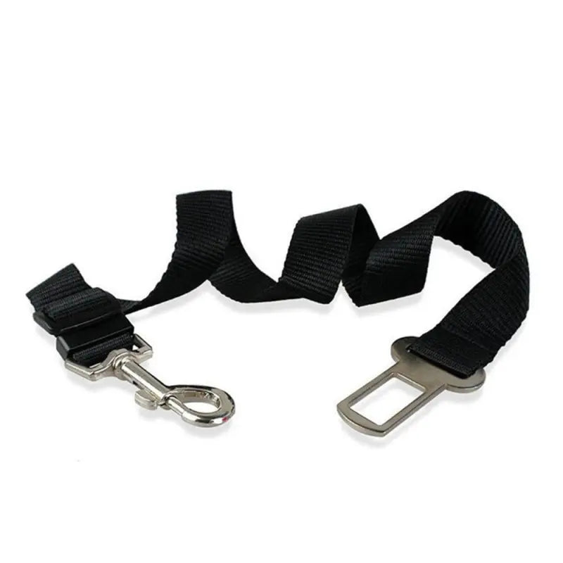 Chest Strap Harness