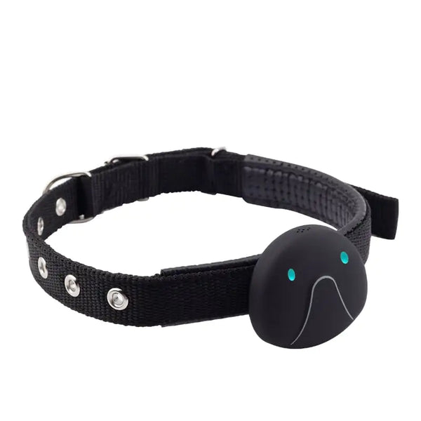 Mini Smart Wearable Locator for Pets
