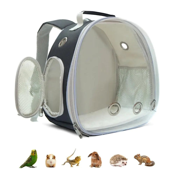 Small Animal Carrier Backpack for Bird Bunny Cat Kitten Lizard Rabbit Squirrel Beared Dragon Portable Travel Carrier Backpack Space Capsule Bubble Window Carrier (Black)