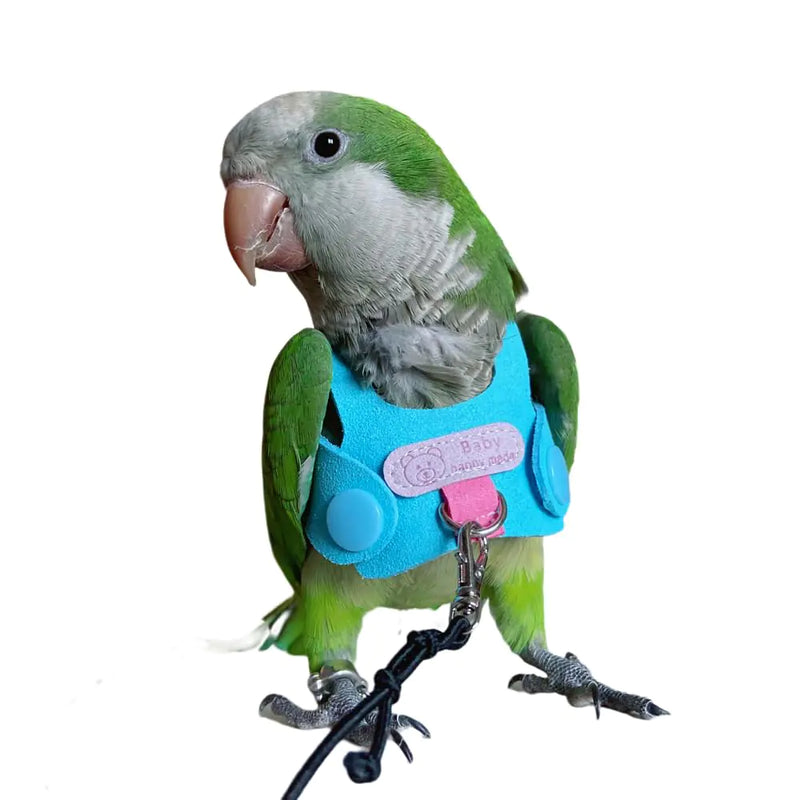 Bird Flight Harness Vest Parrot Flight Suit with Leash for Parakeets Cockatiels Conures Budgies Bird Flying Clothes with Rope and Handle for Outdoor Activities Training Anti Bite (2XL)
